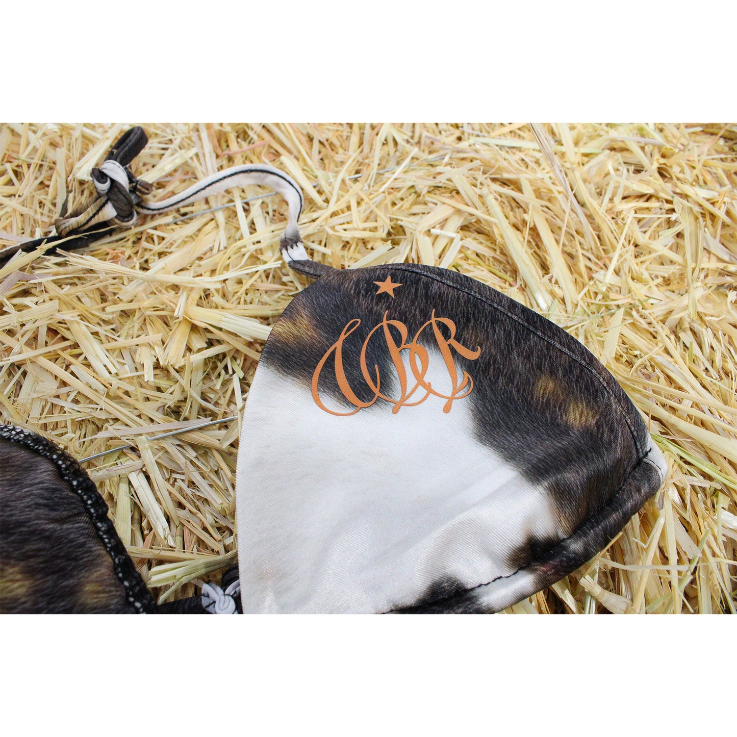 Cowhide Bikini Set